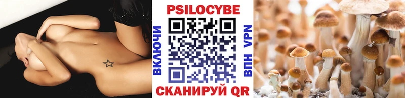 Псилоцибиновые грибы MAGIC MUSHROOMS  Купить закладки  Горнозаводск 